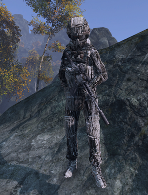 Winter Camo skin